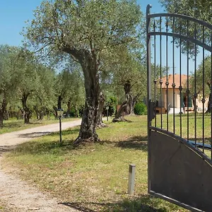 Bed and breakfast Welcomely - Country Olivar, Alguer